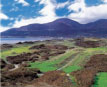 Royal County Down