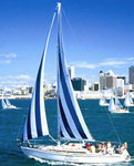 Auckland - City of Sails