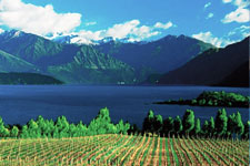 Wine Tours