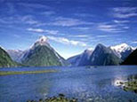 Piahia New Zealand