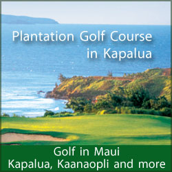 Plantation Golf Course in Kapalua